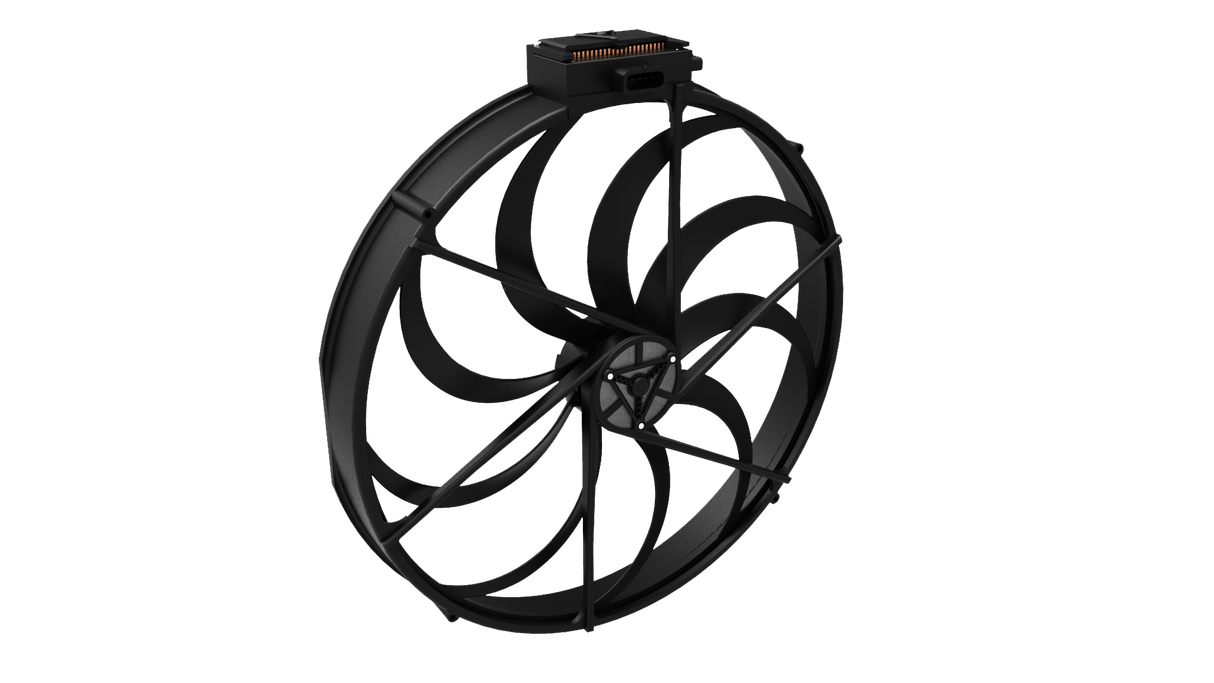 The Fan