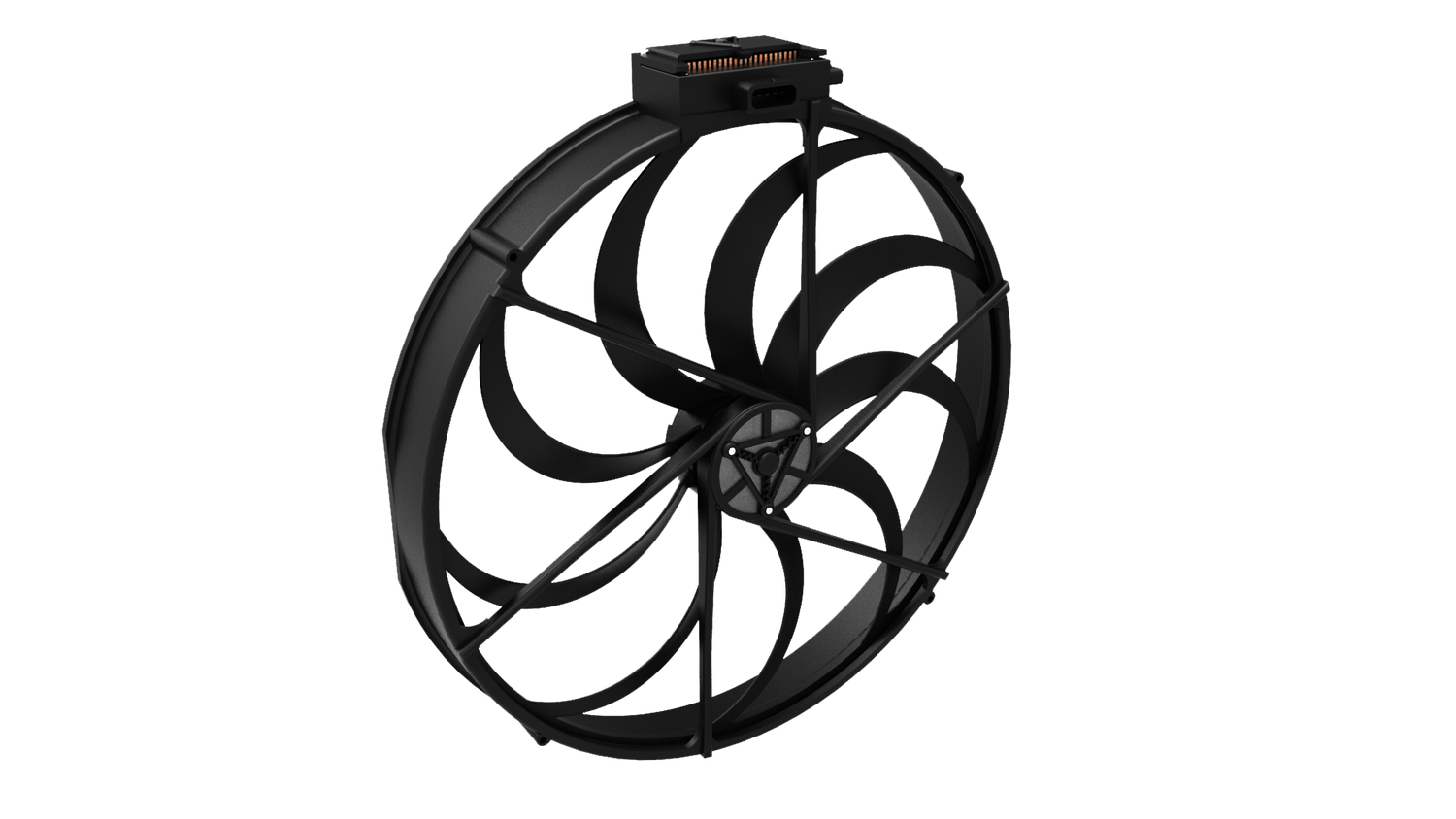 The Fan